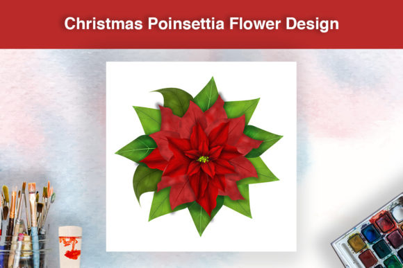 Christmas Poinsettia Flower Design Illustrations